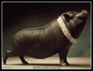 pearls-on-swine-Larissa Barton's x photo